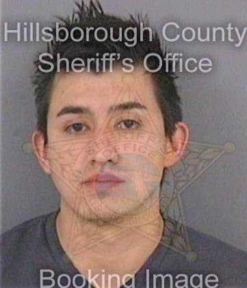 Sanchez Felipe - Hillsborough County, FL 