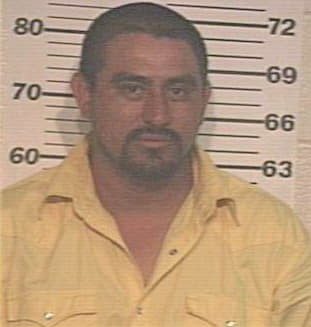 Olvera Luis - Hidalgo County, TX 
