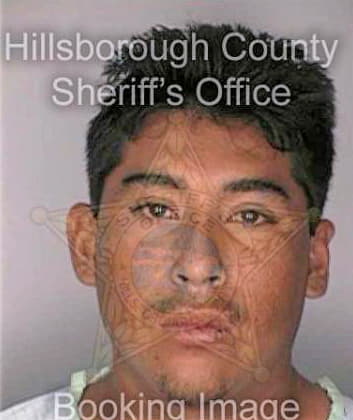 Vasquez Samuel - Hillsborough County, FL 