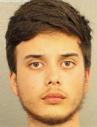 Johnson Brandon - Broward County, FL 