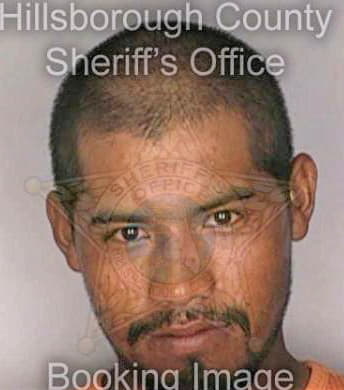 Rayas Camacho - Hillsborough County, FL 