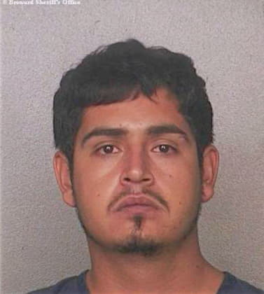 Correa Cesar - Broward County, FL 