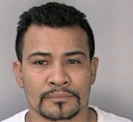 Dominguez David - Hillsborough County, FL 