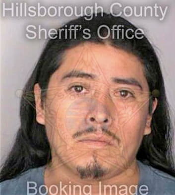 Zaragoza Enrique - Hillsborough County, FL 