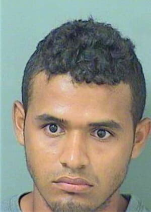 Gudielpineda Jorge - PalmBeach County, FL 