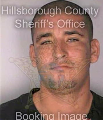 Molina Martin - Hillsborough County, FL 