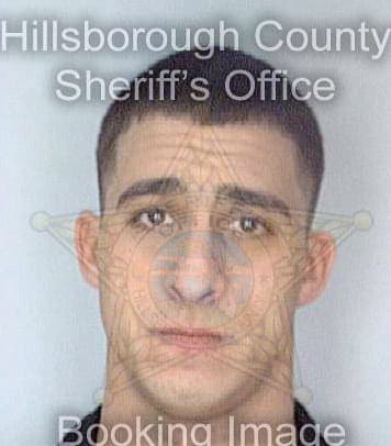 Morejon Reinaldo - Hillsborough County, FL 