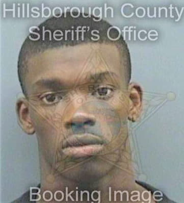 Johnson Stephon - Hillsborough County, FL 