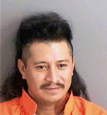 Ramos Vincente - Collier County, FL 