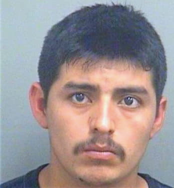 Martinezmorales Enrique - PalmBeach County, FL 