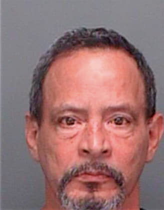 Guzman Hector - Pinellas County, FL 