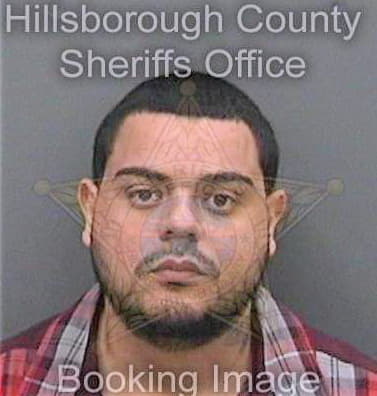 Ventura Hector - Hillsborough County, FL 