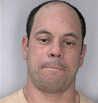 Arocha Osvaldo - Hillsborough County, FL 