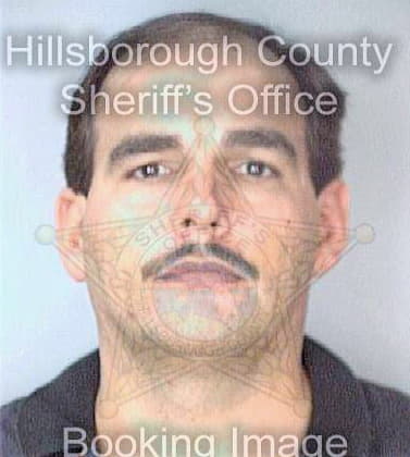 Montague Chris - Hillsborough County, FL 