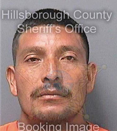 Hernandez Constantino - Hillsborough County, FL 