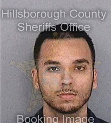 Martinez Hector - Hillsborough County, FL 