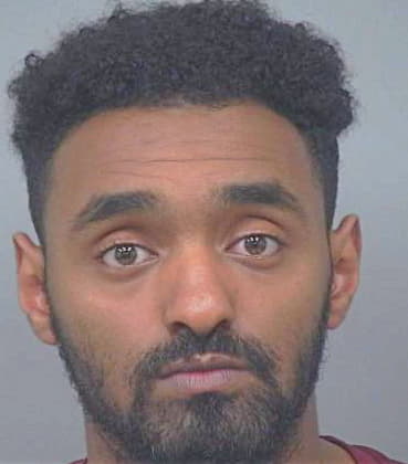 Zegeye Michael - Gwinnett County, GA 
