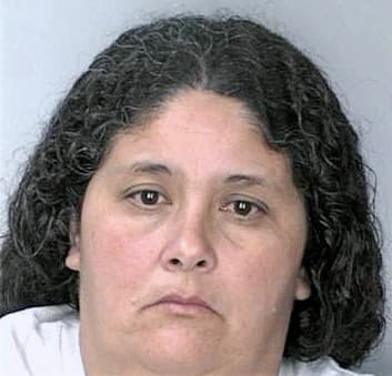 Nunez Yvette - Hillsborough County, FL 