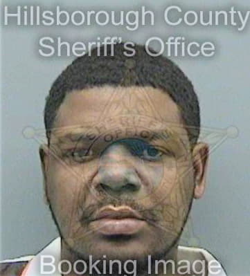 Shaffer Daniel - Hillsborough County, FL 