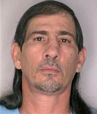 Gonzalez Dennis - Hillsborough County, FL 