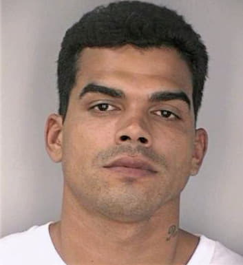 Erazo Jose - Hillsborough County, FL 