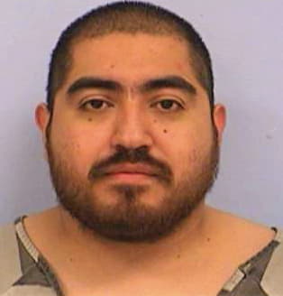Alvarado Luis - Travis County, TX 