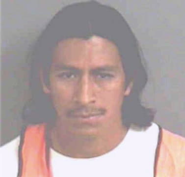 Demiguelmartinez Miguel - Polk County, FL 