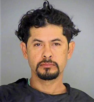 Hernandez Vicente - Bastrop County, TX 