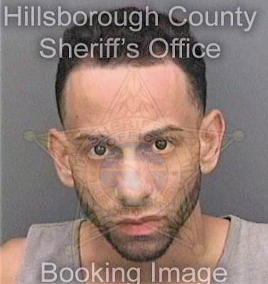 Figueroa Adrian - Hillsborough County, FL 