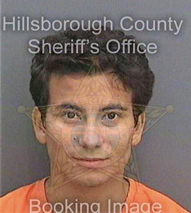 Duarte Andres - Hillsborough County, FL 