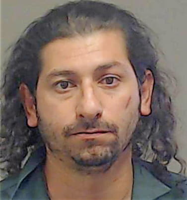 Santana Hector - Collin County, TX 