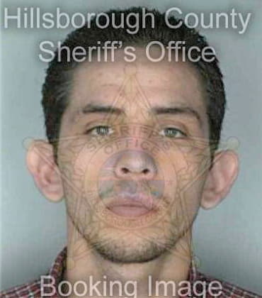 Ruvalcaba Jose - Hillsborough County, FL 