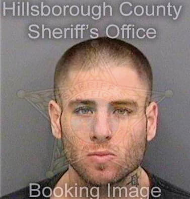 Aloian Michael - Hillsborough County, FL 