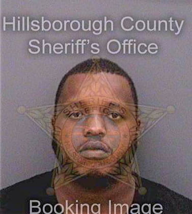Levins Darnell - Hillsborough County, FL 