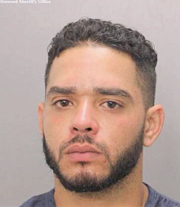 Castro Jonathan - Broward County, FL 
