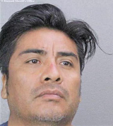 Dominguez-Salazar Jose - Broward County, FL 