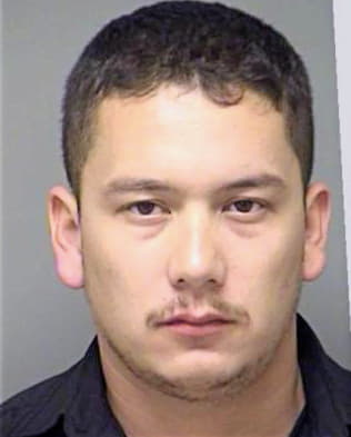 Gonzalez-Bazaldua Jose - Denton County, TX 