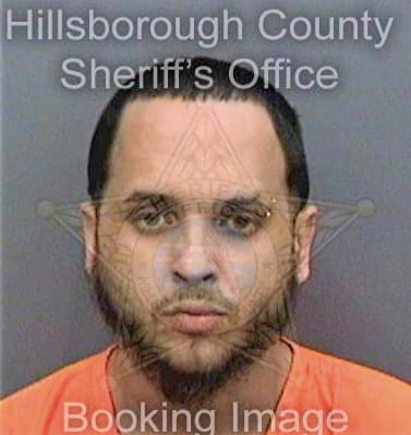 Sanchezzayas Larry - Hillsborough County, FL 