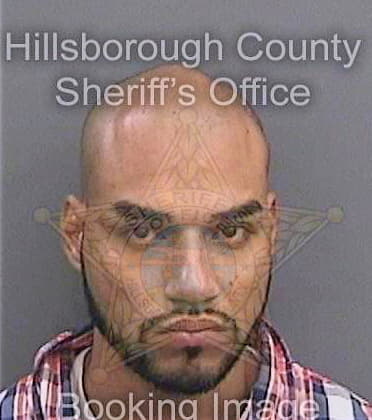 Gonzalez Angel - Hillsborough County, FL 