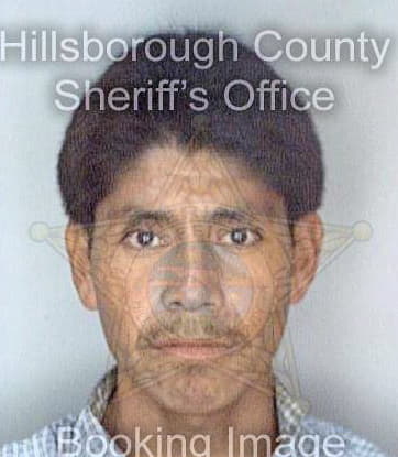 Morales Juan - Hillsborough County, FL 