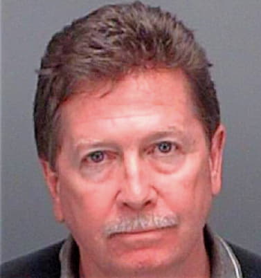 Healy Timothy - Pinellas County, FL 