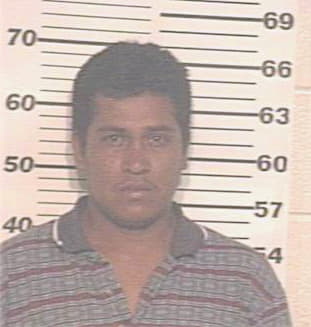 Gomez Ernesto - Hidalgo County, TX 