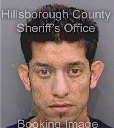 Roblerogarcia Jesus - Hillsborough County, FL 