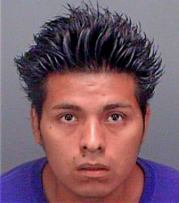 Duran Jose - Pinellas County, FL 