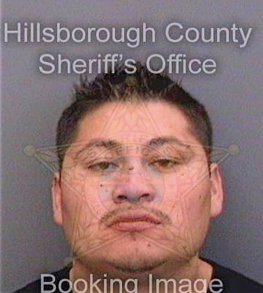 Garciarosales Jose - Hillsborough County, FL 