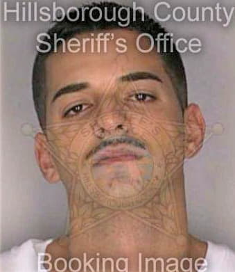 Soler Ryan - Hillsborough County, FL 