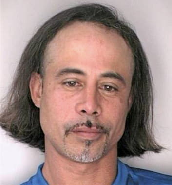 Mendez Carlos - Hillsborough County, FL 