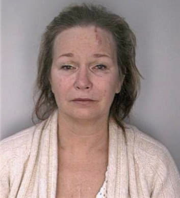 Simmons Denise - Hillsborough County, FL 
