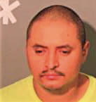 Gonzalez Gustavo - Shelby County, TN 