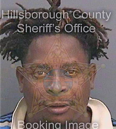 Dinard Nkrumah - Hillsborough County, FL 